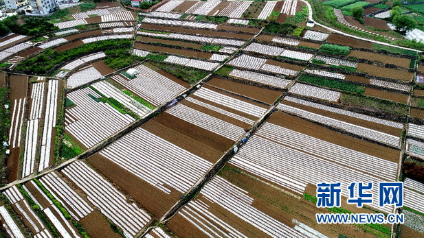 湖北十堰：航拍复耕春景美如画