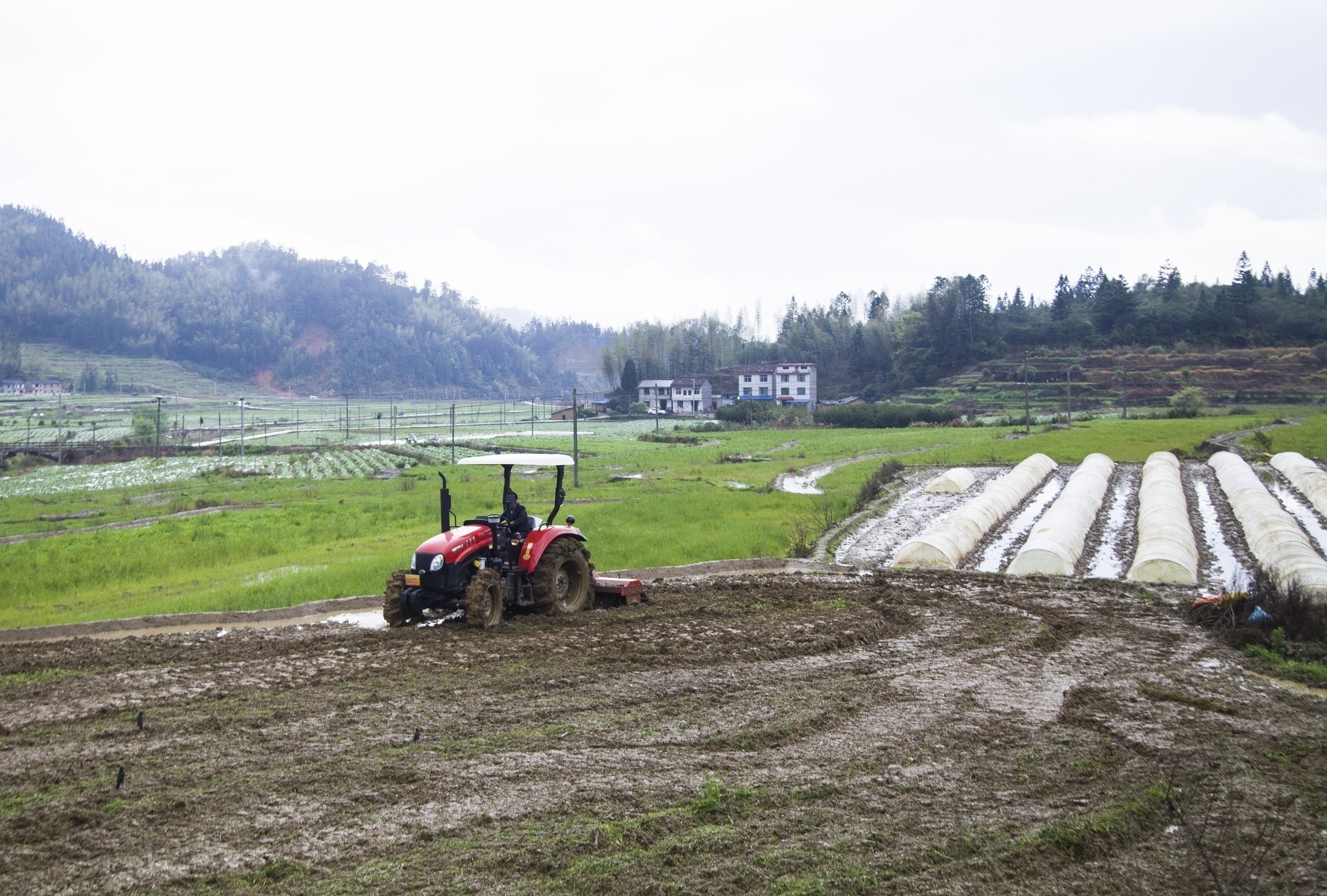 福建将乐：春耕时节 水稻种植忙