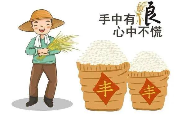 陈文胜:中国粮食安全的信心源自何处?