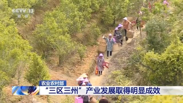 农业农村部：“三区三州”贫困县已引进和培育1200多家龙头企业 5.6万家农民合作社