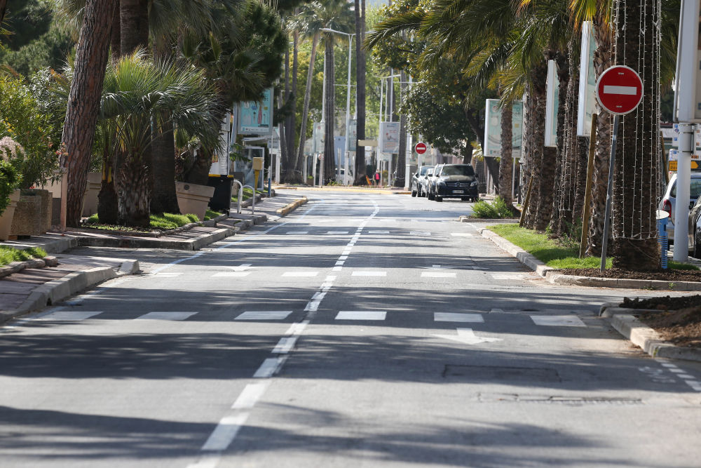 第73届戛纳电影节将不会以原有形式举行