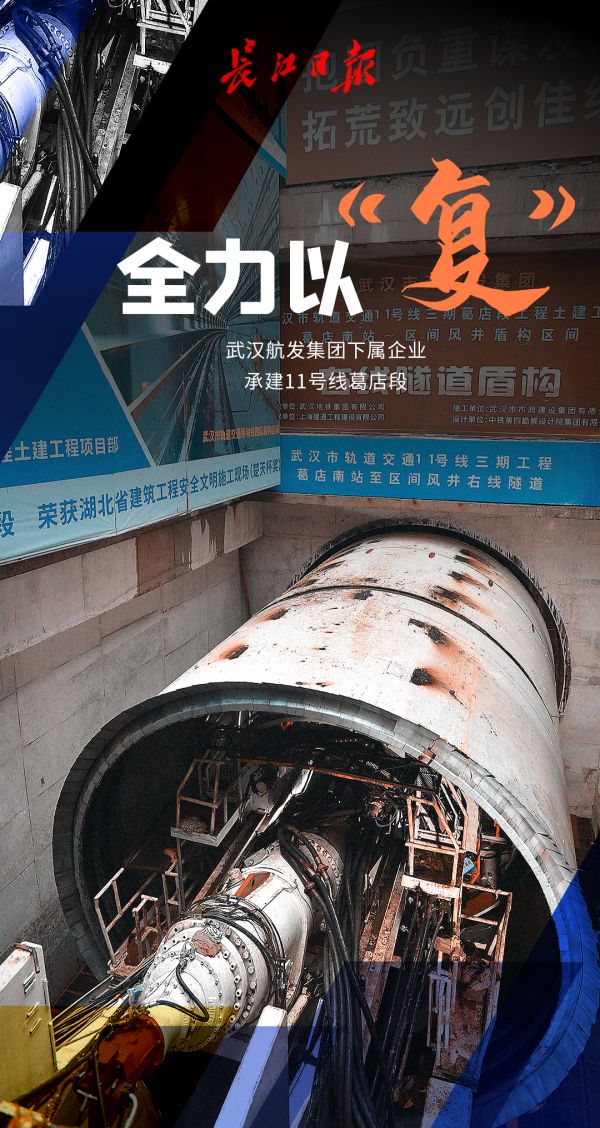 迎着春光，他们全力以“复”