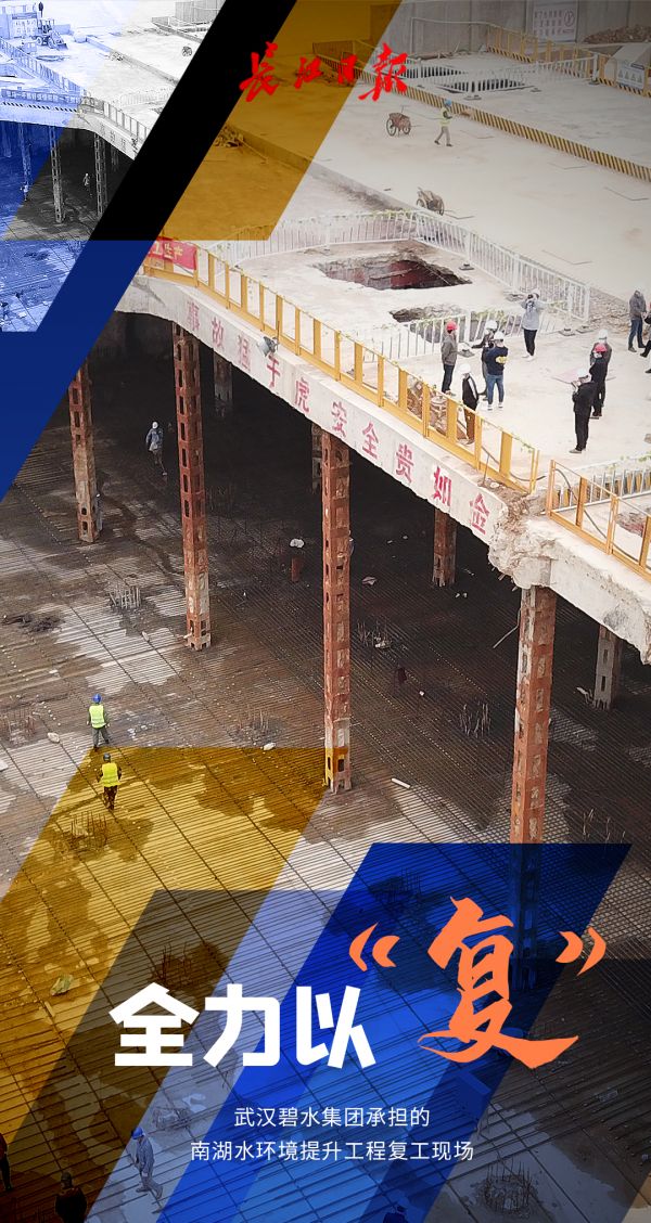 迎着春光，他们全力以“复”