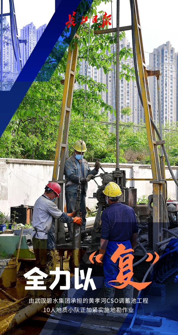 迎着春光，他们全力以“复”