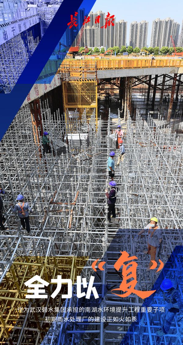 迎着春光，他们全力以“复”