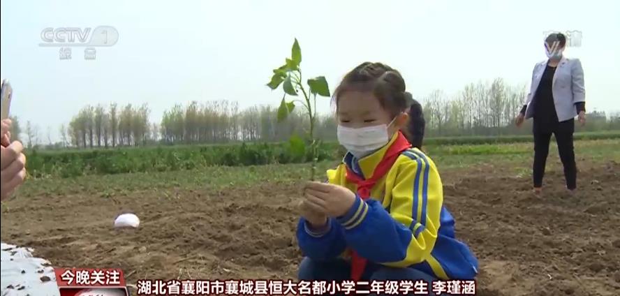 自制科普视频 为援鄂护士孩子辅导功课……疫情下的孩子们懂事儿了!