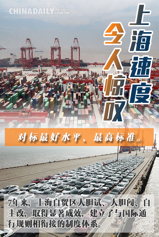 海报 | 浦东三十年：扬帆再起航 未来仍可期