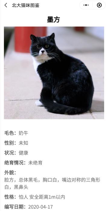 暖心！学霸打造“北大流浪猫图鉴” 火到教学网一度崩溃……