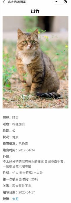 暖心！学霸打造“北大流浪猫图鉴” 火到教学网一度崩溃……