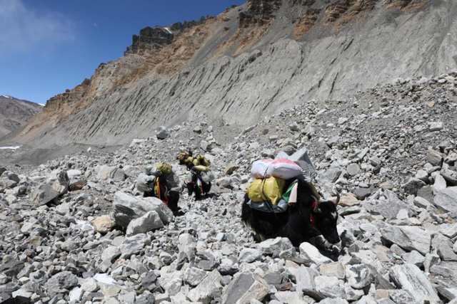 5G上珠峰 有速度更有高度！