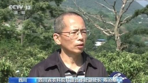 四川凉山脱贫增收路上的“农科印记”