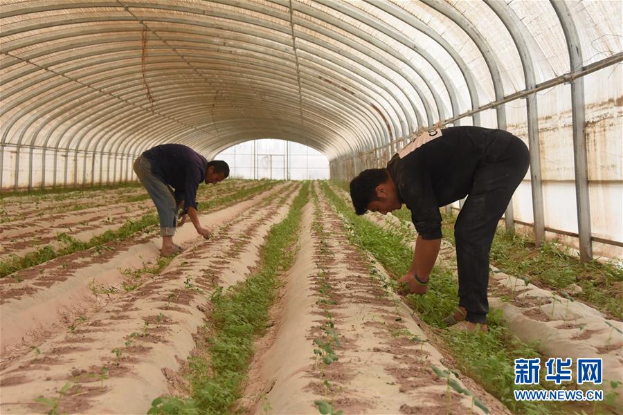 “再也不用过穷日子了！”