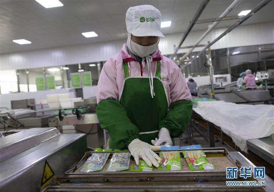 云南镇雄：竹笋产业助农脱贫增收