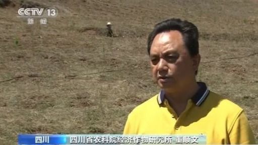 四川凉山脱贫增收路上的“农科印记”