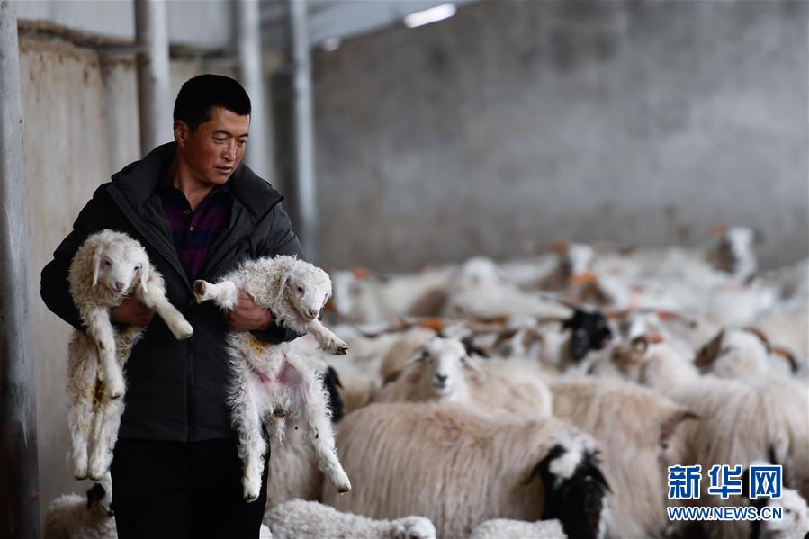 青海省所有贫困县脱贫摘帽