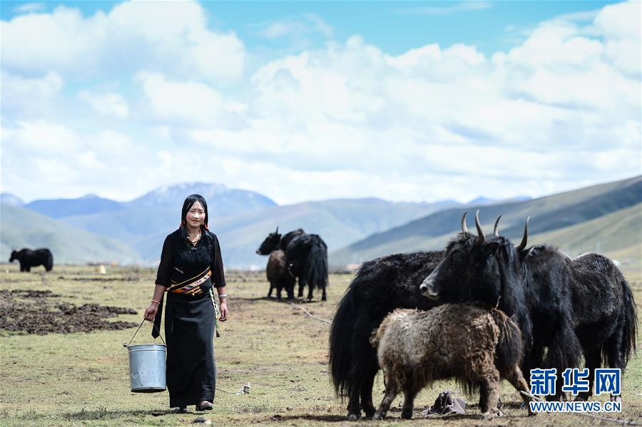 青海省所有贫困县脱贫摘帽