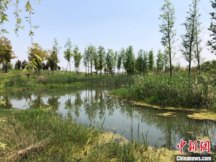 无锡一公园建成不满两年被夷为平地？官方：系部分改造