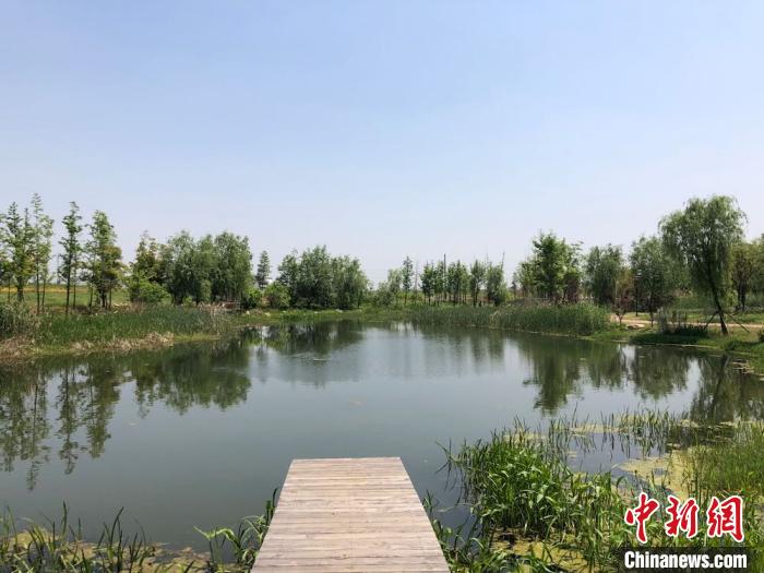 无锡一公园建成不满两年被夷为平地？官方：系部分改造