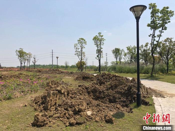 无锡一公园建成不满两年被夷为平地？官方：系部分改造