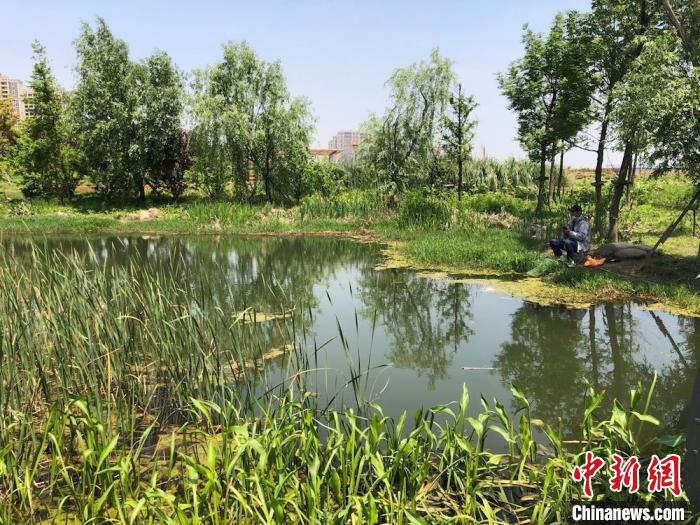 无锡一公园建成不满两年被夷为平地？官方：系部分改造