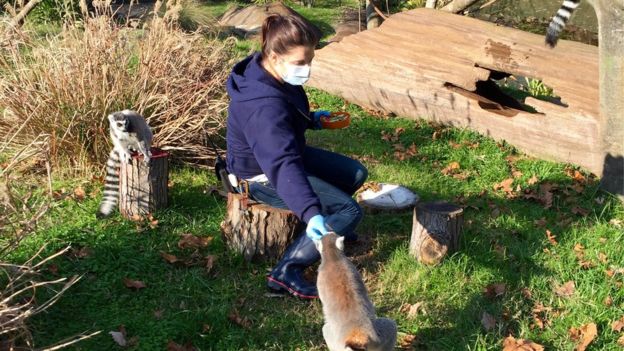 新冠肺炎疫情笼罩下的美国失业者：原来没有什么是铁饭碗