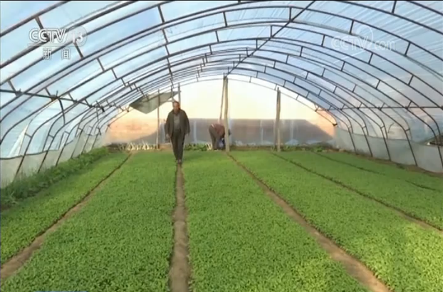 抓好春耕春管 发展特色农业