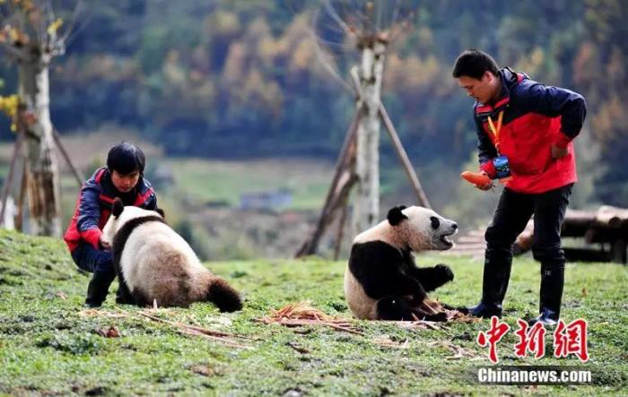 汶川地震十二年：遥忆悲伤，记住灾难中不屈的精神