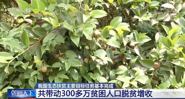 我国生态扶贫主要目标任务基本完成 共带动300多万贫困人口脱贫增收