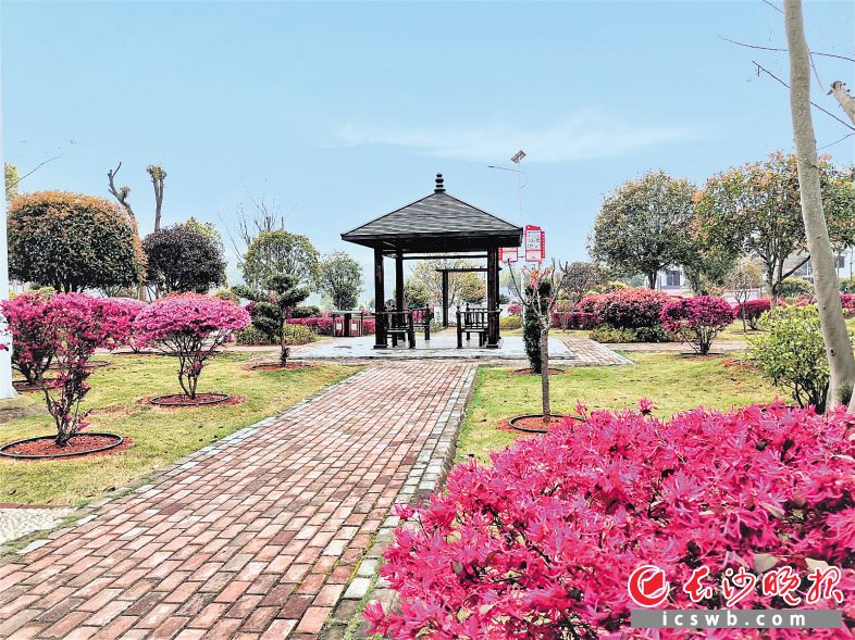 美丽屋场自己造宁乡菁华铺乡群众自筹资金建设美丽屋场