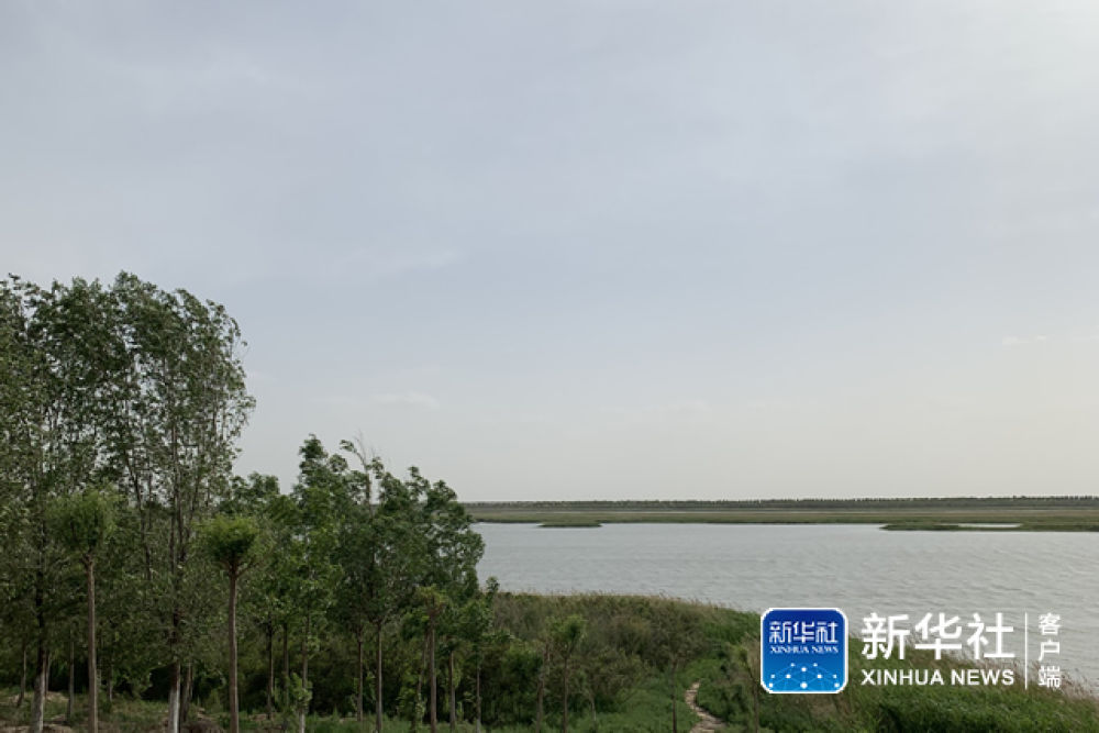 一汪碧水“保卫记”——天津防治水污染见闻