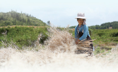 维护群众利益 推进依法治理(法治头条·法治保障脱贫攻坚③)