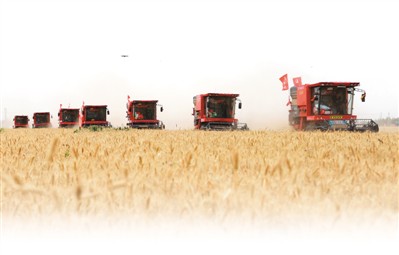 1.7亿亩！全国麦收进度过半 黄淮海主产区机收率超98%