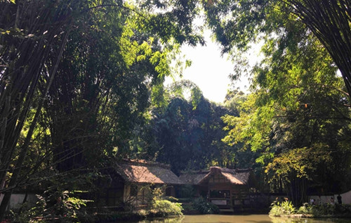 文物赋彩 今年的文化和自然遗产日有哪些“亮点”