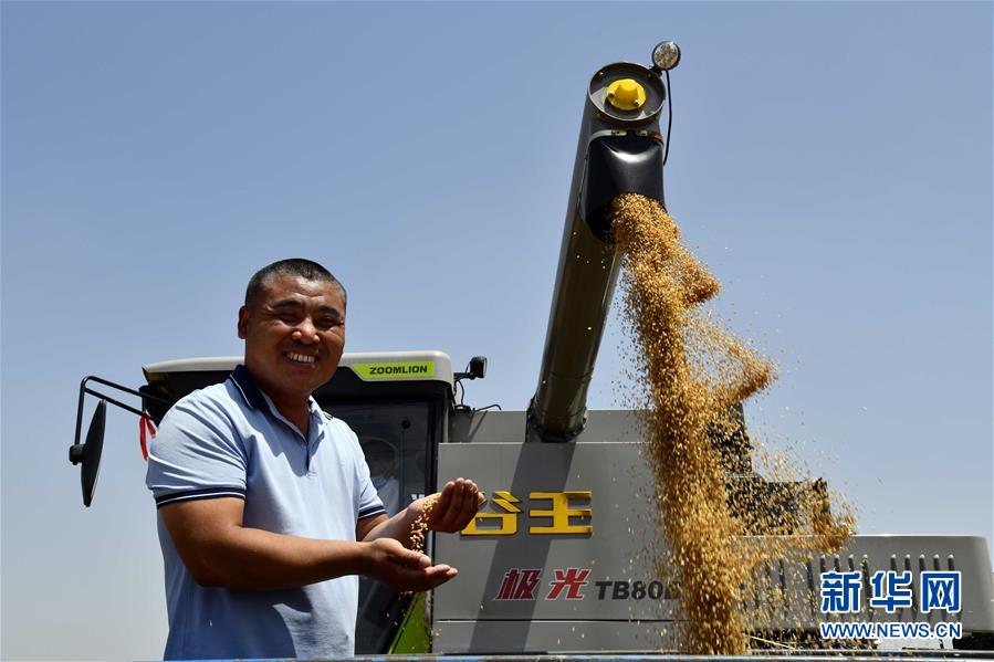 不寻常的耕耘，不一般的收获——我国夏粮主产区夏收观察