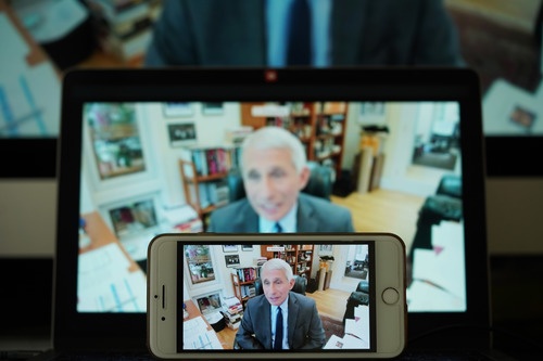 “福奇去哪儿了？” 美国人发现好像很久没见到他了