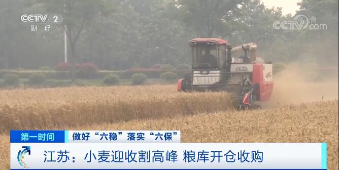 江苏：小麦迎收割高峰 粮库开仓收购