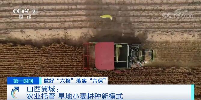 山西翼城：农业托管 旱地小麦耕种新模式