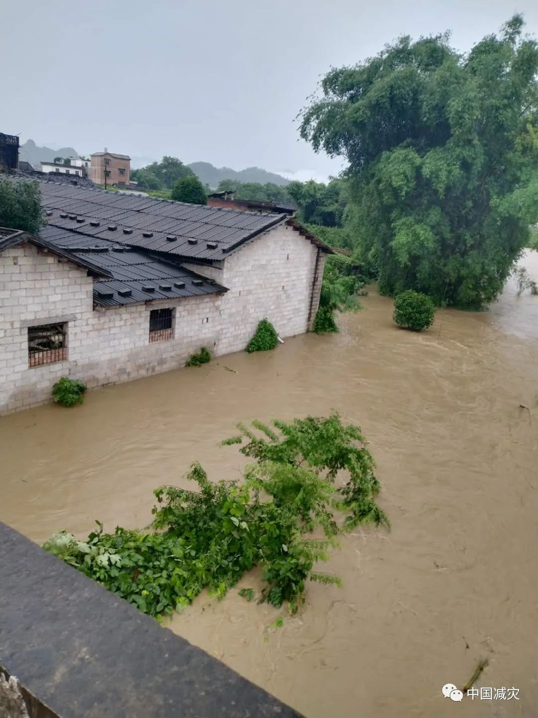 洪水房子图片