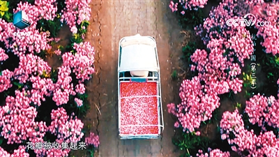 影像之中的文化自信