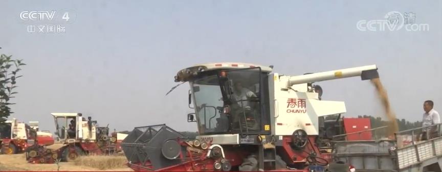 中国在行动 | 实现全年经济社会发展目标 各地正全力推进