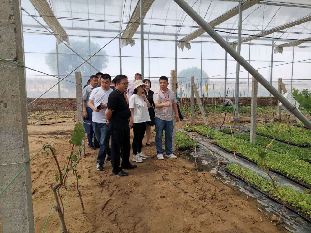 德善草原花开遍野——鄂托克前旗脱贫攻坚纪实