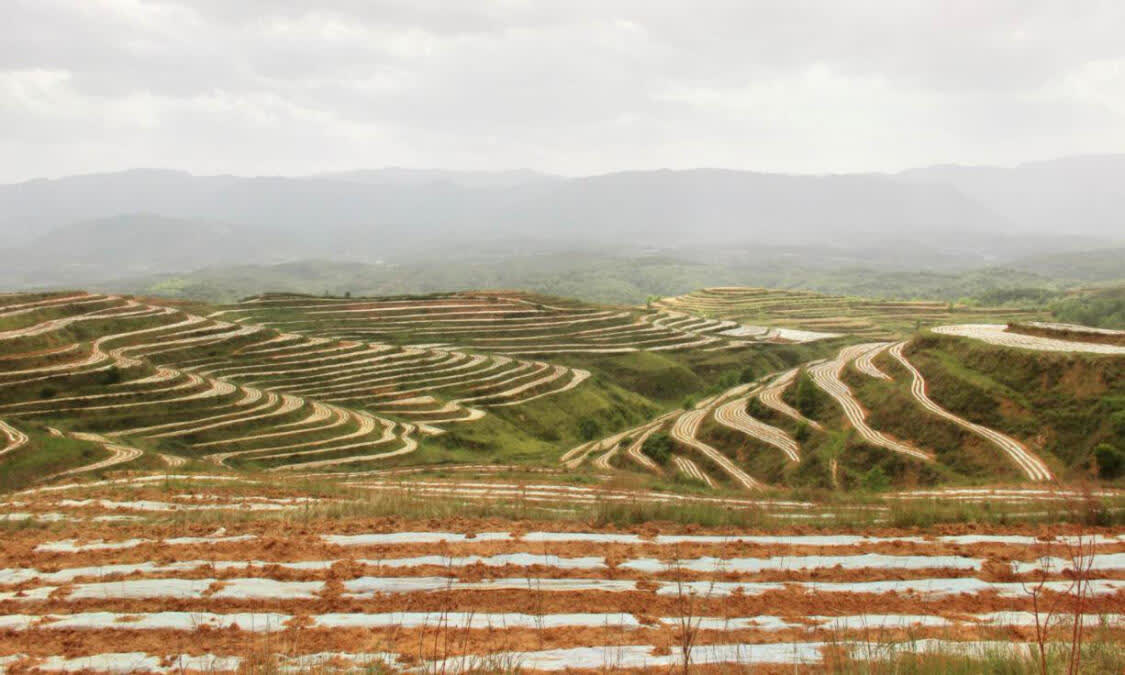 宁夏泾源：“四个一”林草产业探寻山绿民富新路径