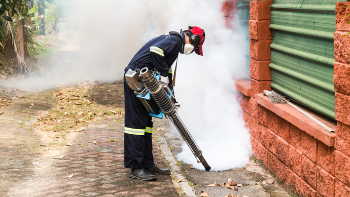 新加坡单周新增登革热病例破历史纪录，五天半之内已达895例