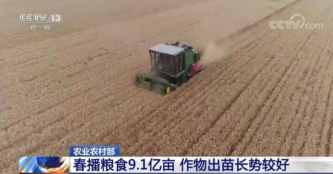 农村农业部：5月份农业农村经济运行持续向好