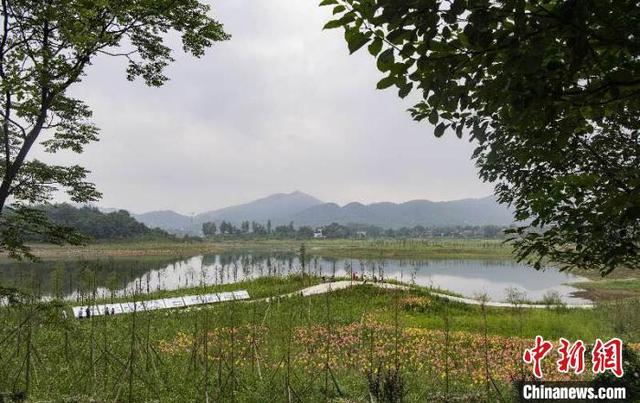 四川广安：生态修复有“妙招” 民众“加速度”跑进小康生活