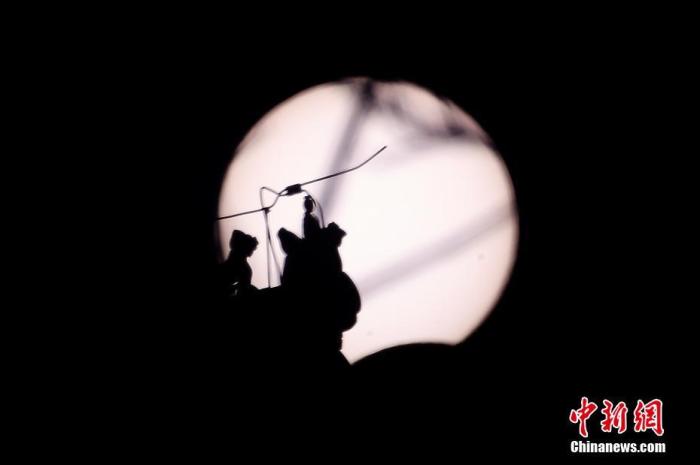 夏至“牵手”日环食 天宇送来浪漫“金指环”