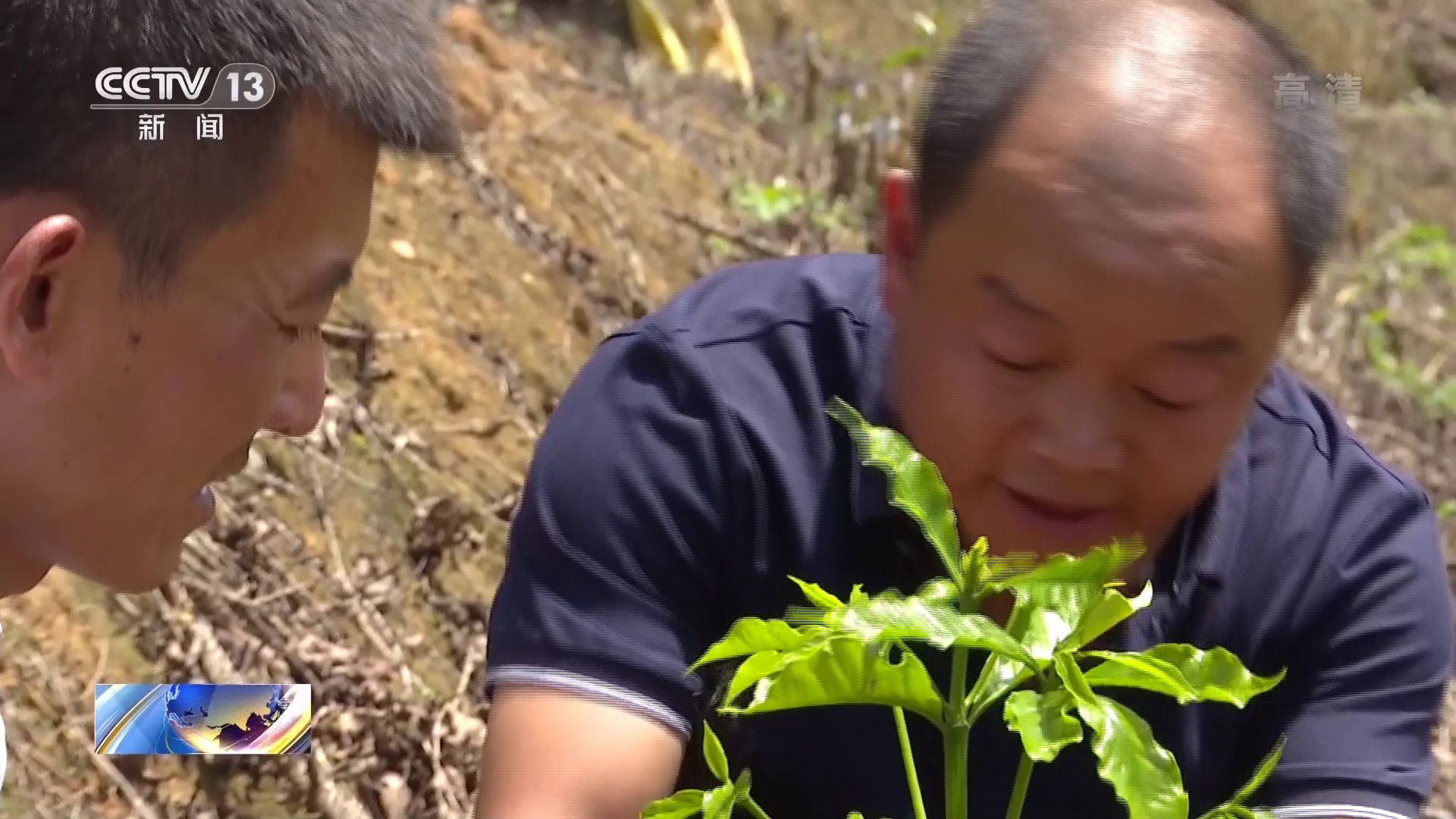 咖啡香飘出深山 电商扶贫助力农产品走出大山