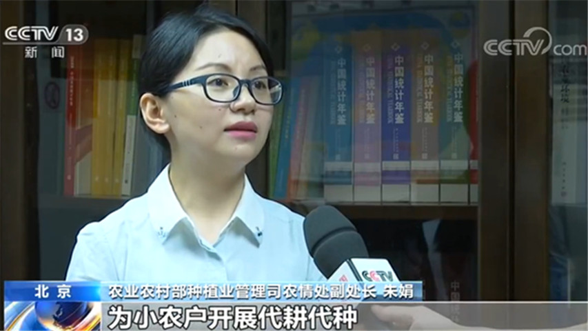 夏播进行时 | 农业农村部：夏播粮食过八成 进度快质量高