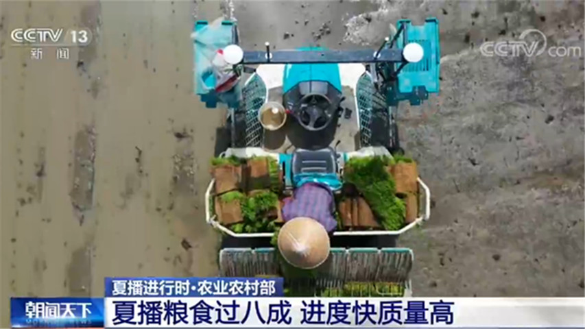 夏播进行时 | 农业农村部：夏播粮食过八成 进度快质量高