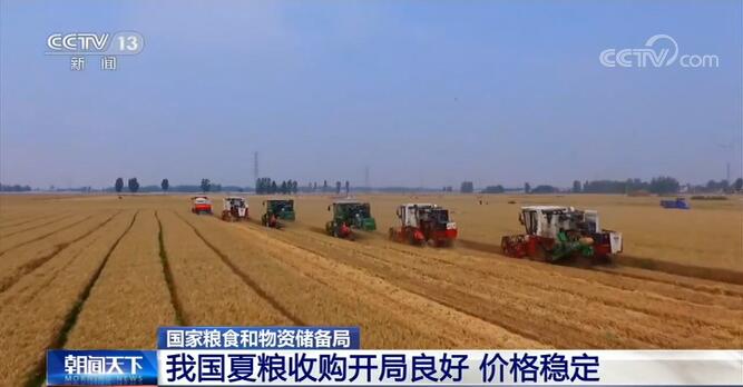 我国夏粮收购开局良好 价格稳定进展顺利